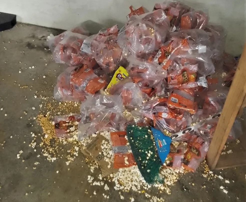 Vigilância flagra fezes de rato e de barata em fábrica de pipoca no Poço, Maceió