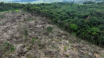 Desmatamento na Amazônia cai 31% enquanto cerrado sofre com aumento da destruição