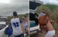 Torcedores do CSA são filmados furtando bode em estrada; Polícia Civil de Alagoas investiga o caso