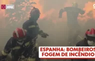 Mais de 61 mil pessoas morreram de calor na Europa no verão de 2022, diz estudo