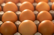 Inflação: Ovo tem maior alta de preços em uma década no Brasil; Veja aumento