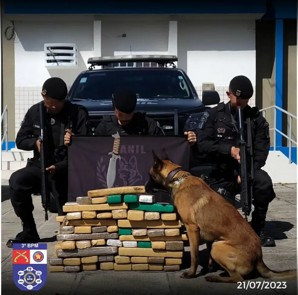 Homem é preso transportando 60kg de maconha em bagageiro de ônibus em São Sebastião, AL