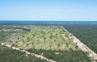 MT desmata mais de 2 mil hectares no Pantanal em quatro meses, aponta instituto