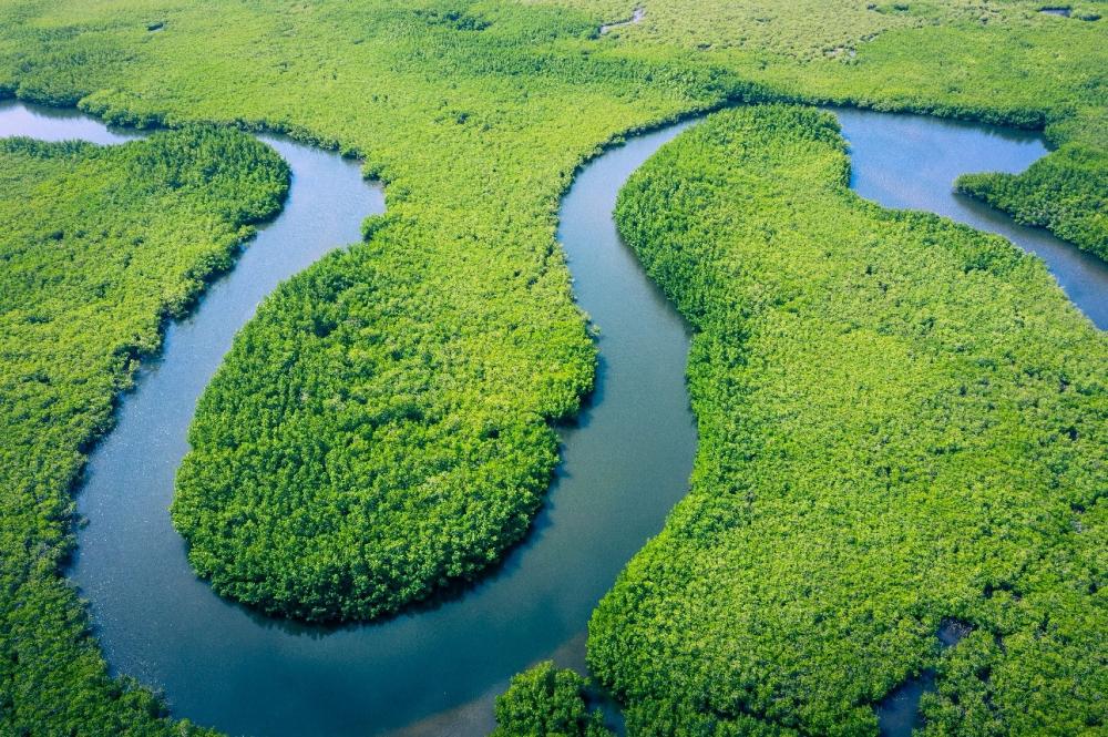Semana da Regularização Fundiária na Amazônia começa nesta segunda