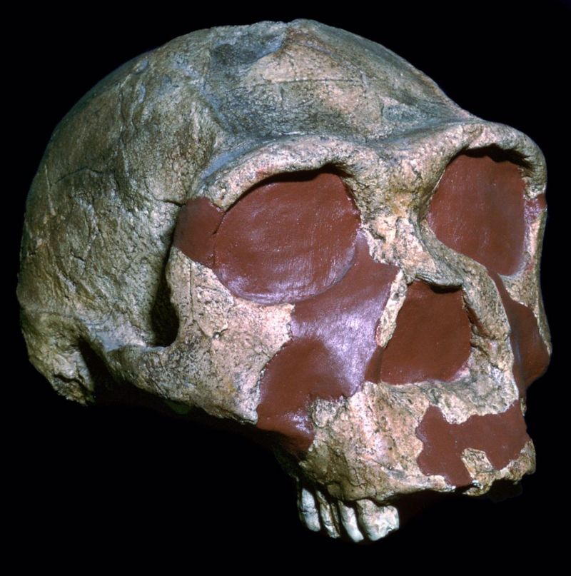 O frio repentino que expulsou homem primitivo da Europa por 200 mil anos