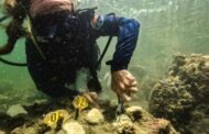 Por que novo recorde de calor do oceano é alerta sombrio para planeta