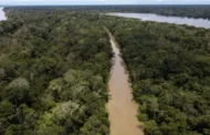 Amazônia perdeu 17% de sua cobertura nativa, diz MapBiomas
