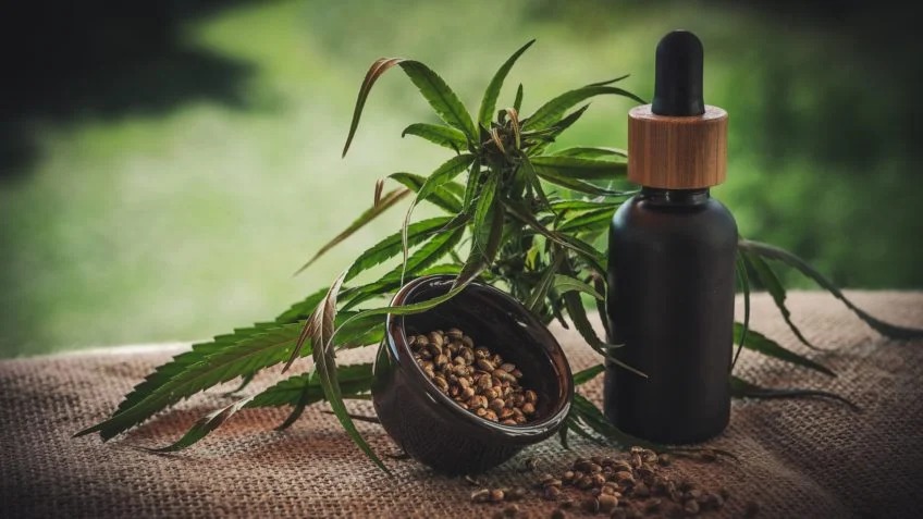 Anvisa proíbe propaganda de produtos de cannabis