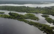 Brasil precisa decidir como vai lidar com a questão ambiental, diz Raul Jungmann