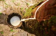 Governo eleva alíquota de importação para borracha natural