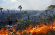 Mês de julho registrou maiores queimadas da Amazônia em 2023