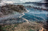 Amazônia registra em junho maior número de queimadas em 16 anos