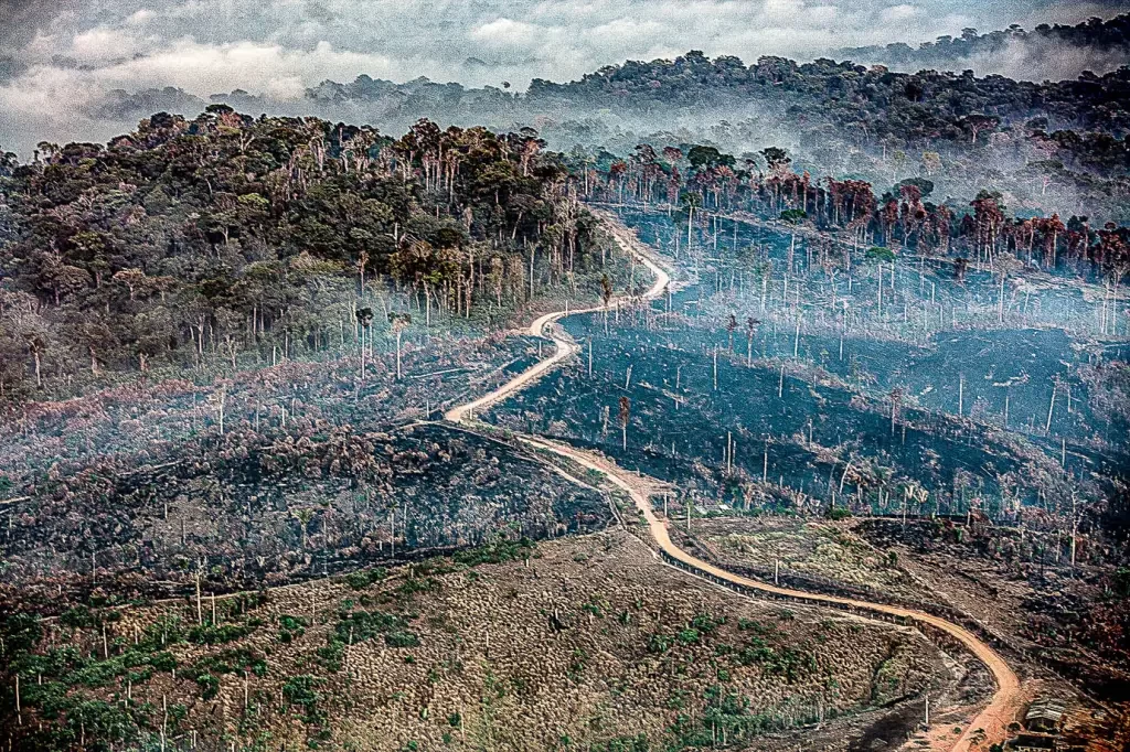 Amazônia registra em junho maior número de queimadas em 16 anos