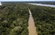 Temperatura média anual em terras indígenas pode ser até 5 °C menor do que no entorno, diz instituto