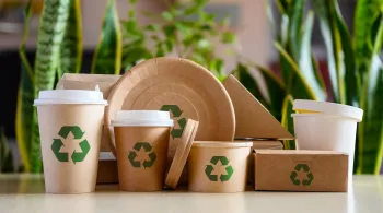 Tesouro lança “títulos verdes” no exterior para financiar proteção ambiental no país