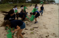 Estudantes promovem ação de limpeza na Praia do Francês, em Marechal