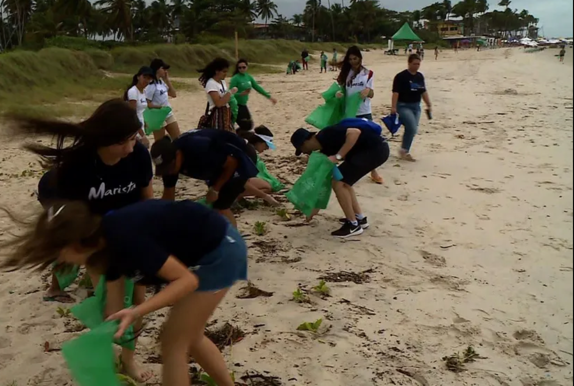 Estudantes promovem ação de limpeza na Praia do Francês, em Marechal