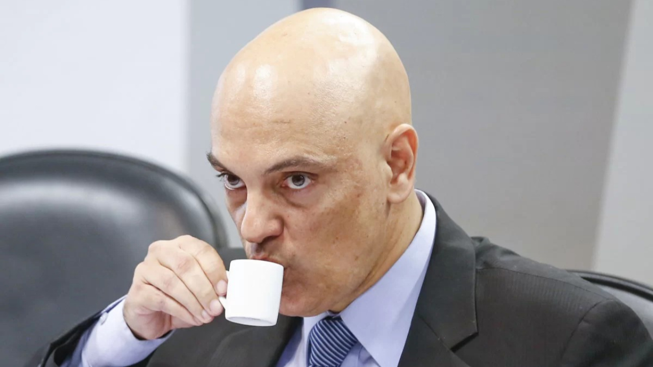 O ELEFANTE SUPREMO ESMAGA FORMIGAS EM NOME DA REPÚBLICA