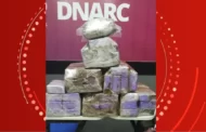 Polícia encontra 30kg de drogas no bagageiro de ônibus interestadual em Alagoas