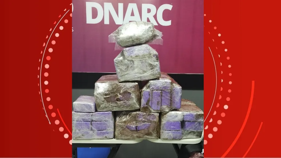 Polícia encontra 30kg de drogas no bagageiro de ônibus interestadual em Alagoas