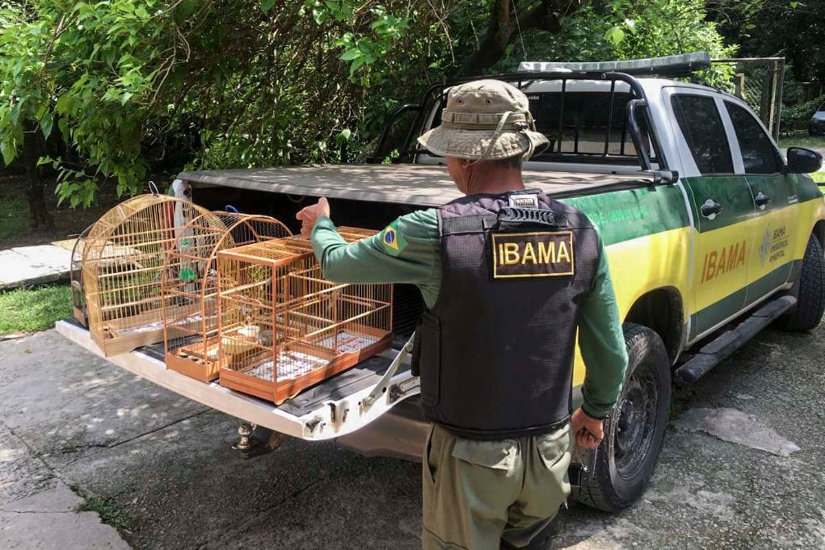 Presidente do Ibama confirma planejamento para um novo concurso