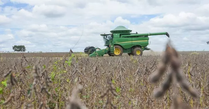 Governo Lula altera calendário de plantio da soja e contraria produtores