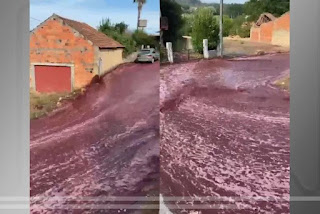 Vídeo: Vinho inunda ruas após acidente em destilaria