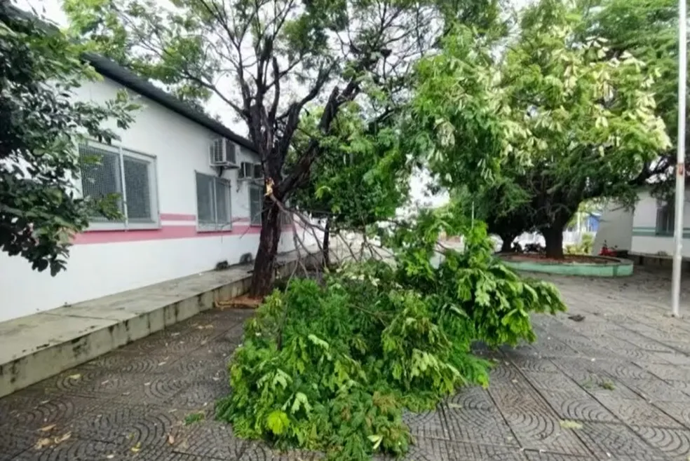 Inmet alerta para vento forte em quatro cidades de AL