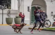 Corredor é atacado por cachorro durante maratona e perde prova