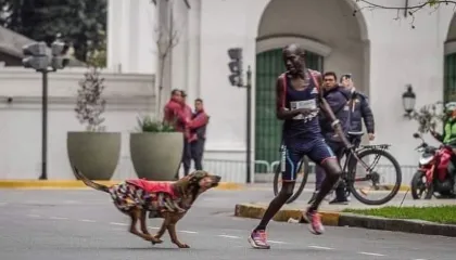 Corredor é atacado por cachorro durante maratona e perde prova