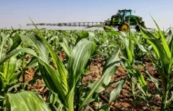 O agronegócio pelas lentes dos riscos ESG