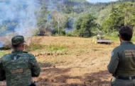 Operação Mata Atlântica em Pé aplica mais de R$ 9 milhões em multas em MG