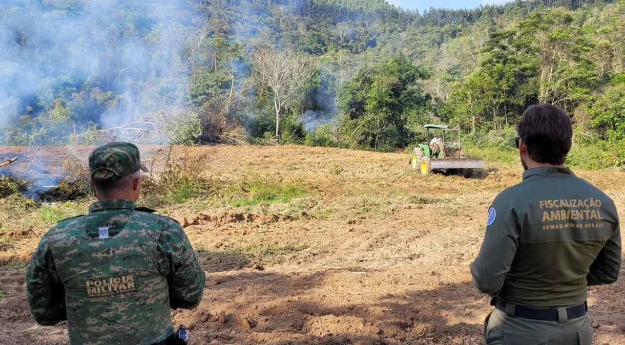 Operação Mata Atlântica em Pé aplica mais de R$ 9 milhões em multas em MG