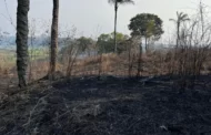 Polícia Federal prende dois homens por queimada ilegal no Amazonas