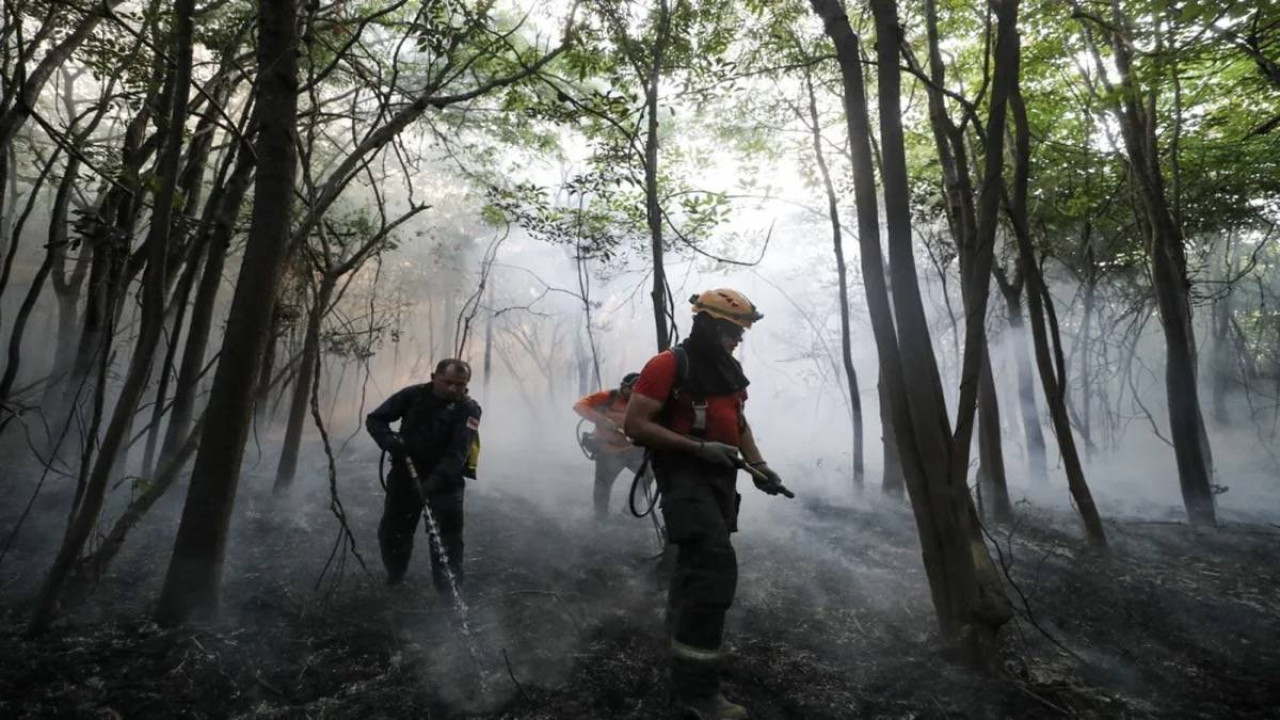 AMAZONAS REGISTRA 1.373 QUEIMADAS EM UMA SEMANA, O SEGUNDO PIOR MÊS DE SETEMBRO DESDE 1998