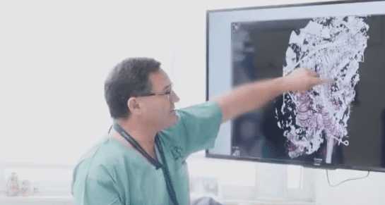 “Queimados vivos” – Autópsia de vítimas do Hamas revela detalhes das atrocidades (veja o vídeo)