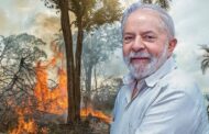 Amazonas tem pior temporada de queimadas em duas décadas