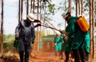 Por: Eldorado – Empresas atuam na prevenção e combate a incêndios no Cerrado