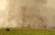 Incêndios no Pantanal devastam 258 mil hectares em duas semanas, diz levantamento