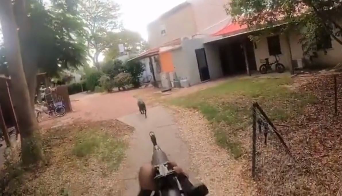 VÍDEO CHOCANTE: terroristas do Hamas invadem casa em Israel, matam cachorro e incendeiam; VEJA