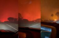 Incêndios no Pantanal: motorista atravessa ‘corredor de fogo’ em rodovia; veja vídeo