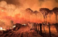 Incêndios: Mato Grosso do Sul registrou 1.072 queimadas em novembro