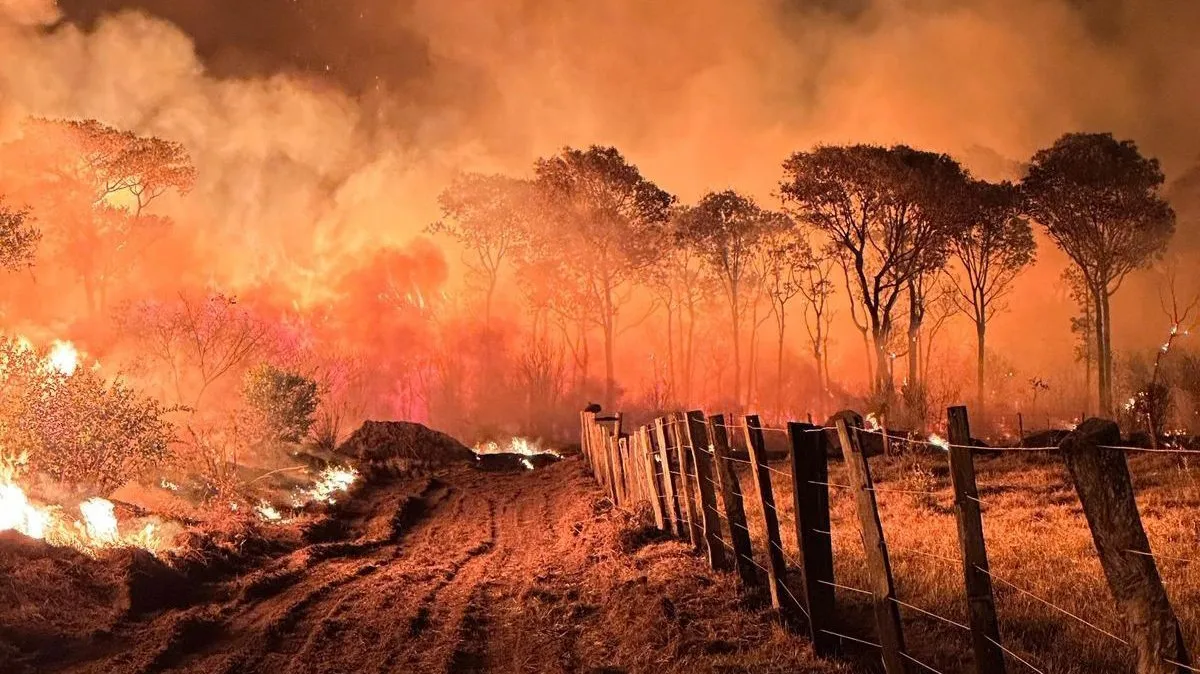 Incêndios: Mato Grosso do Sul registrou 1.072 queimadas em novembro