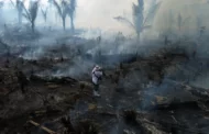 RSF lança relatório sobre os desafios do jornalismo local no coração da crise climática global