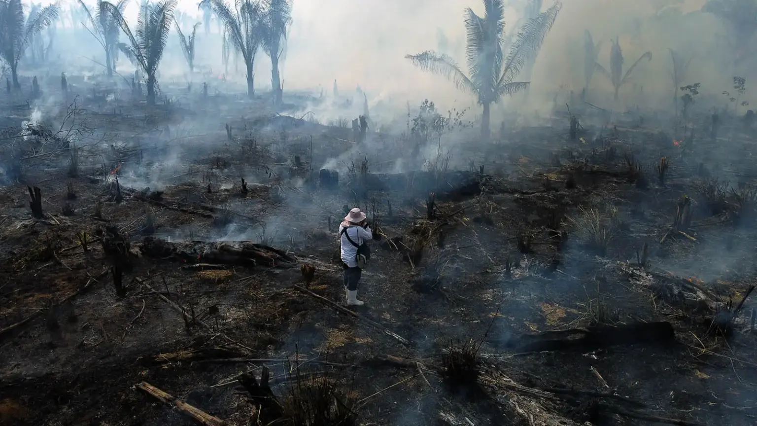 RSF lança relatório sobre os desafios do jornalismo local no coração da crise climática global