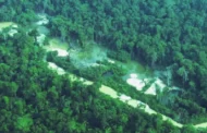 Garimpo ilegal avança 10 mil hectares na bacia do Xingu no Pará desde 2018, aponta instituto; liderança diz que indígenas sofrem prejuízo