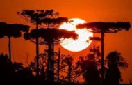 2023 deve ser o ano mais quente dos últimos 125 mil anos, dizem cientistas