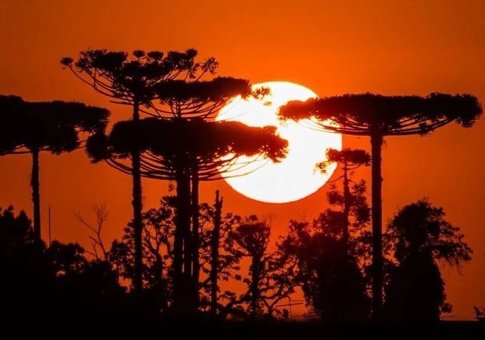 2023 deve ser o ano mais quente dos últimos 125 mil anos, dizem cientistas