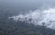 Desmatamento na Amazônia cai 22% em um ano, mas onda de queimadas preocupa