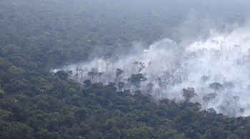Desmatamento na Amazônia cai 22% em um ano, mas onda de queimadas preocupa